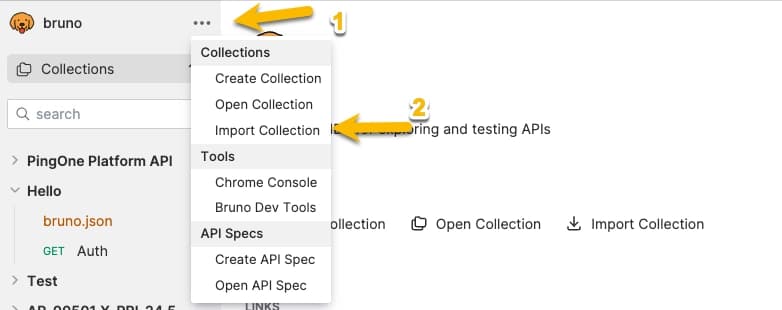 Import from options menu